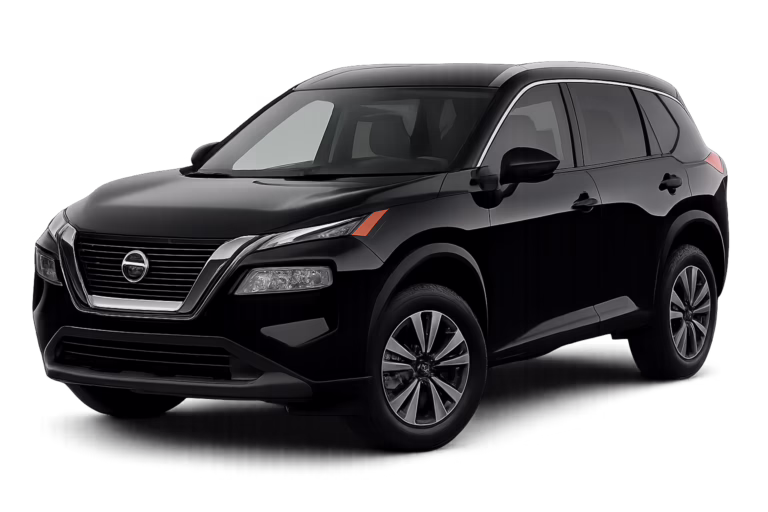 Rogue SV