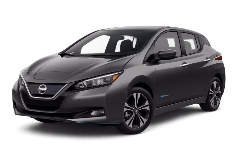 Leaf SV PLUS